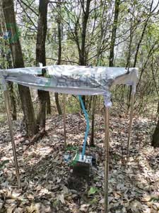 1562123634306544.jpg 1.jpg