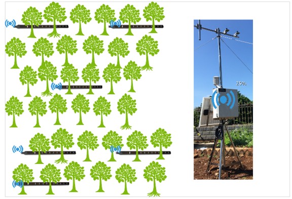 在線LAI監測系統