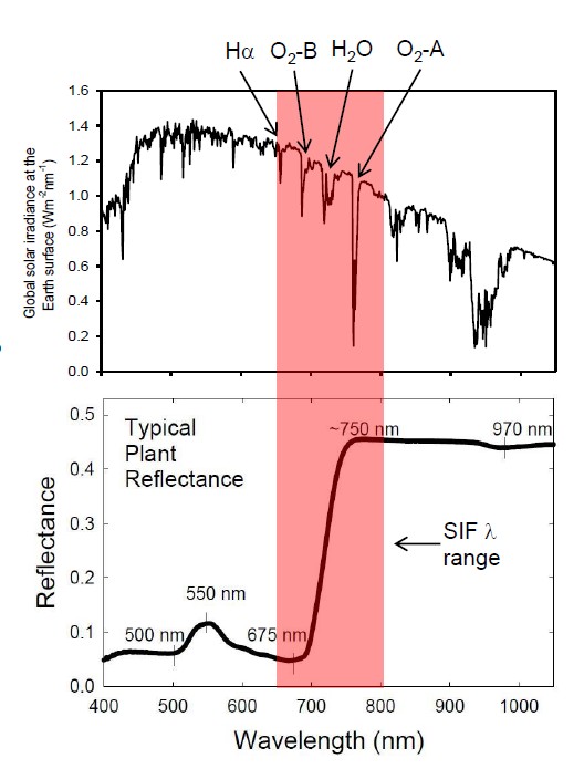 葉綠素?zé)晒獗O(jiān)測(cè)系統(tǒng)