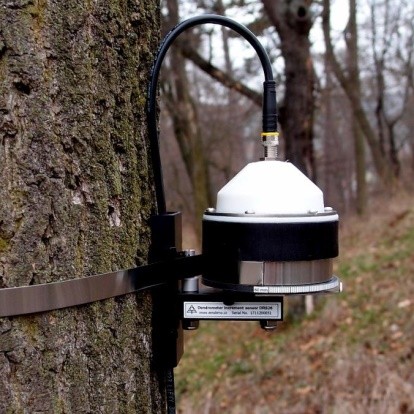 樹干周長變化測量傳感器
