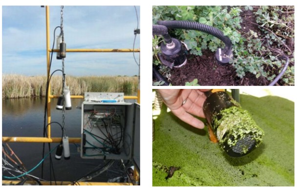 土壤剖面呼吸梯度觀測(cè)系統(tǒng)