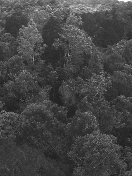 圖片關鍵詞 圖片關鍵詞