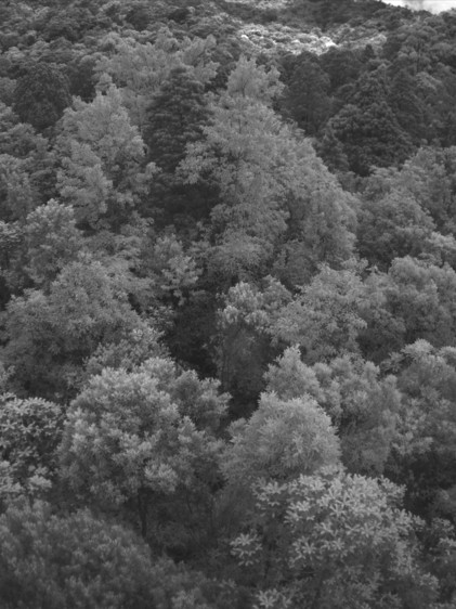 圖片關鍵詞 圖片關鍵詞