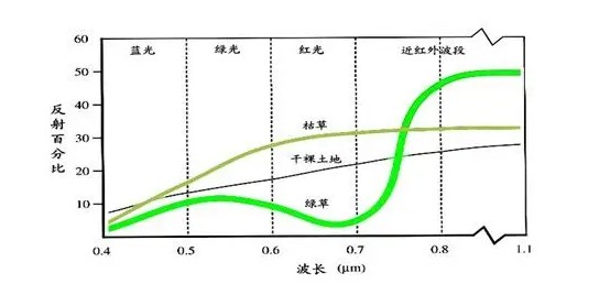 植物光譜、植被指數(shù)監(jiān)測儀