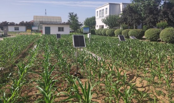 土壤旱情監(jiān)測(cè)系統(tǒng)