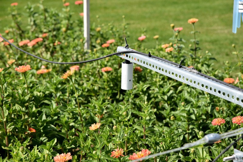 葉片/冠層溫濕度監(jiān)測