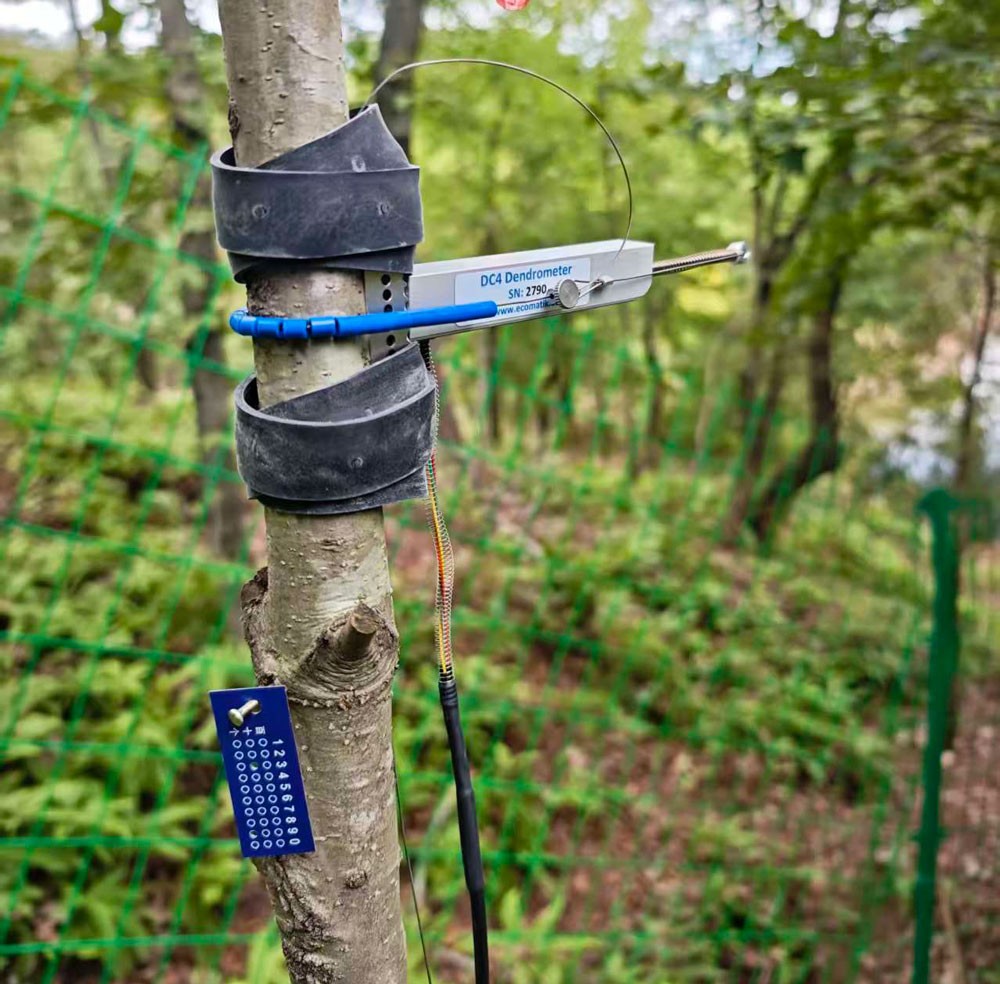 莖干生長傳感器